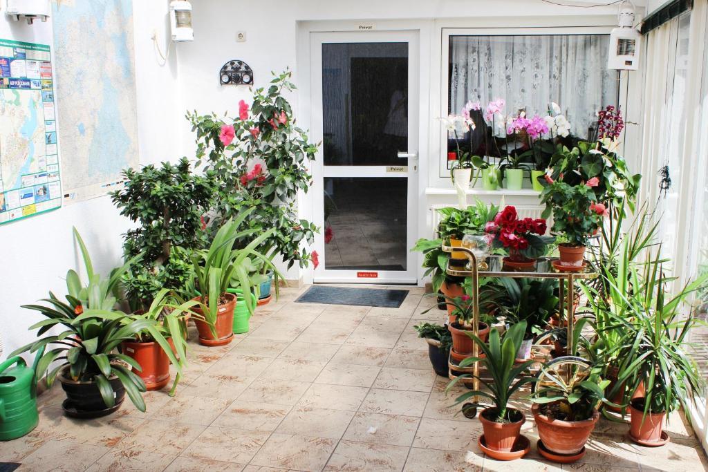 Hotel Pension Kirschstein Wolgast Dış mekan fotoğraf